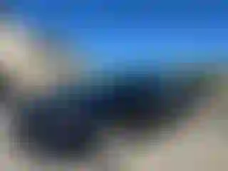 Vehicle Image- 2024 Toyota Corolla