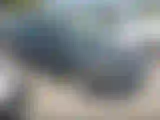 Vehicle Image- 2024 Toyota Corolla