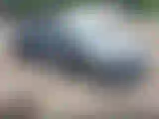Vehicle Image- 2025 Toyota Corolla