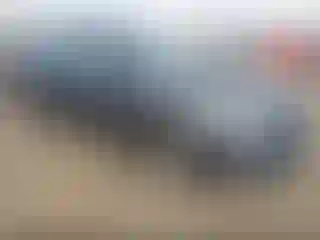 Vehicle Image- 2014 Toyota Corolla