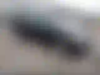 Vehicle Image- 2013 Toyota Corolla