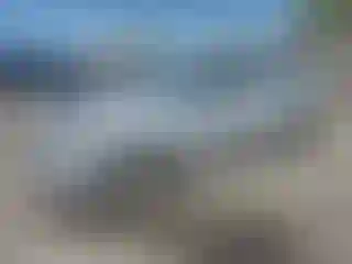 Vehicle Image- 2013 Toyota Corolla