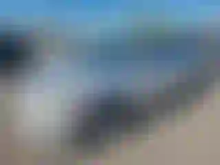 Vehicle Image- 2012 Toyota Corolla