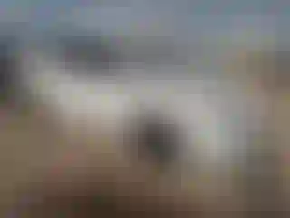 Vehicle Image- 2015 Toyota Corolla