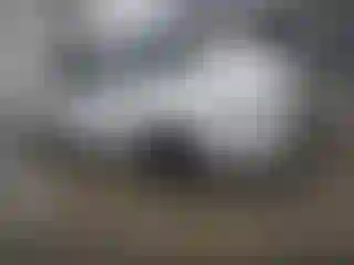 Vehicle Image- 2015 Toyota Corolla