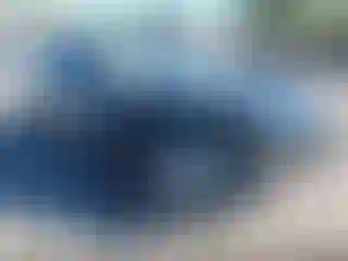 Vehicle Image- 2019 Toyota Corolla