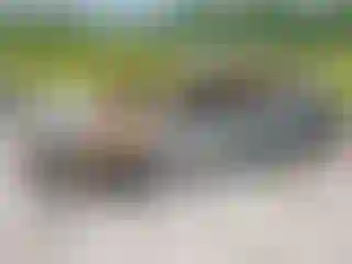 Vehicle Image- 2015 Toyota Corolla