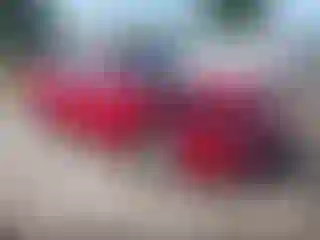 Vehicle Image- 2016 Toyota Corolla