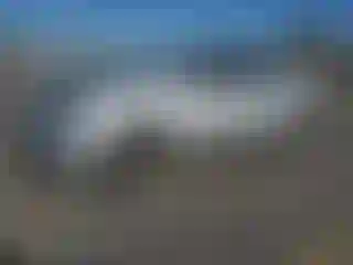 Vehicle Image- 2015 Toyota Corolla