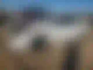 Vehicle Image- 2019 Toyota Corolla