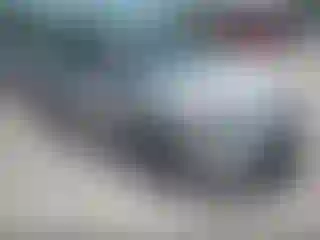 Vehicle Image- 2019 Toyota Corolla