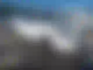 Vehicle Image- 2016 Toyota Corolla