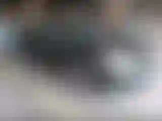 Vehicle Image- 2014 Toyota Corolla