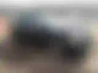 Vehicle Image- 2014 Toyota Corolla