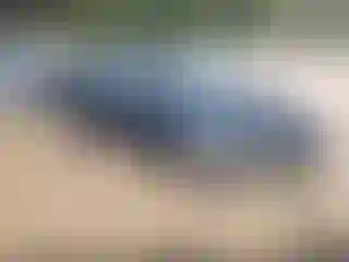 Vehicle Image- 2017 Toyota Corolla