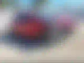 Vehicle Image- 2019 Toyota Corolla