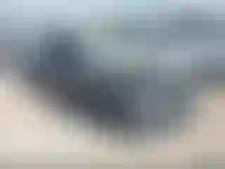 Vehicle Image- 2015 Toyota Corolla