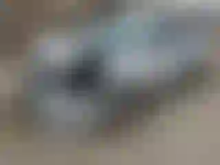 Vehicle Image- 2016 Toyota Corolla