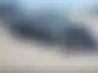 Vehicle Image- 2019 Toyota Corolla