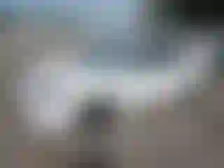 Vehicle Image- 2019 Toyota Corolla