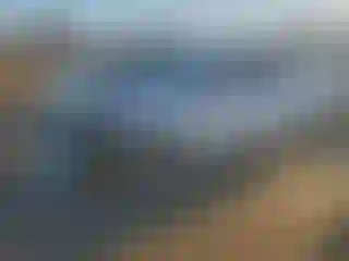 Vehicle Image- 2016 Toyota Corolla