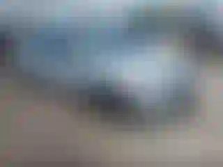 Vehicle Image- 2016 Toyota Corolla