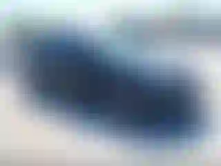 Vehicle Image- 2019 Toyota Corolla