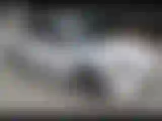 Vehicle Image- 2021 Toyota Corolla