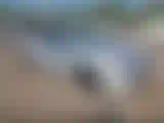 Vehicle Image- 2021 Toyota Corolla