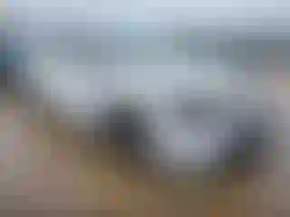 Vehicle Image- 2021 Toyota Corolla