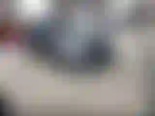 Vehicle Image- 2021 Toyota Corolla