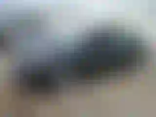 Vehicle Image- 2021 Toyota Corolla
