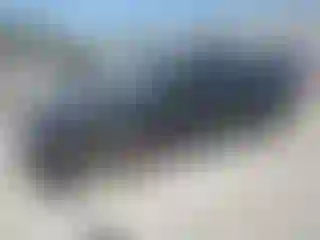 Vehicle Image- 2021 Toyota Corolla