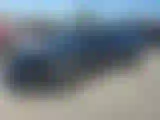 Vehicle Image- 2021 Toyota Corolla