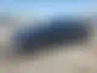 Vehicle Image- 2022 Toyota Corolla