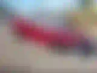 Vehicle Image- 2024 Toyota Corolla