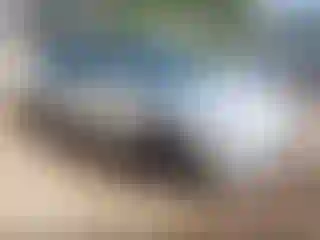 Vehicle Image- 2018 Tesla Model 3