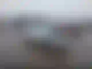 Vehicle Image- 2019 Tesla Model 3