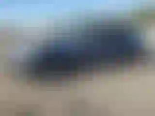 Vehicle Image- 2020 Tesla Model 3