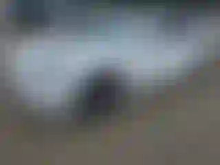 Vehicle Image- 2020 Tesla Model 3