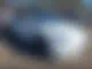 Vehicle Image- 2020 Tesla Model 3