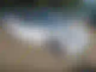 Vehicle Image- 2021 Tesla Model 3