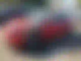 Vehicle Image- 2022 Tesla Model 3