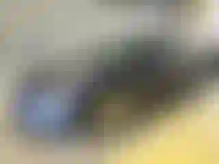 Vehicle Image- 2022 Tesla Model 3