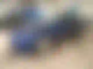 Vehicle Image- 2022 Tesla Model 3