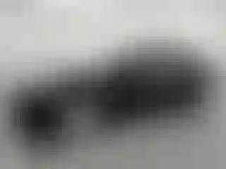 Vehicle Image- 2022 Tesla Model 3