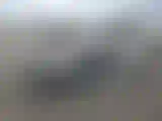 Vehicle Image- 2023 Tesla Model 3