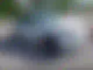 Vehicle Image- 2023 Tesla Model 3