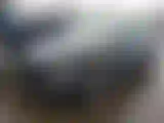 Vehicle Image- 2023 Tesla Model 3