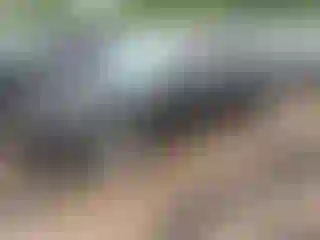 Vehicle Image- 2018 Tesla Model 3